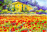Poppies at Remy